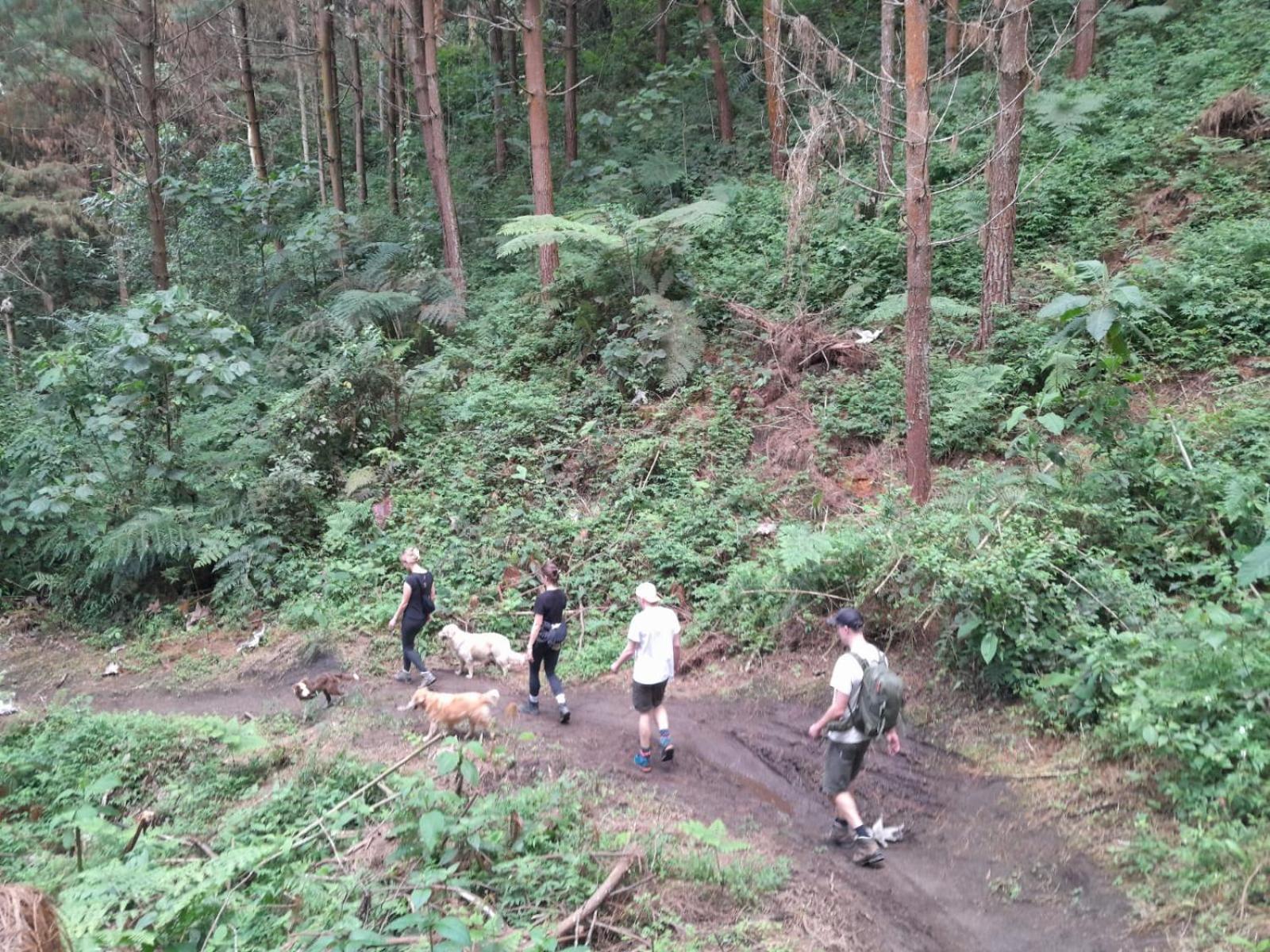 米拉多尔芬卡莫罗加克住宿加早餐旅馆 马尼萨莱斯 外观 照片